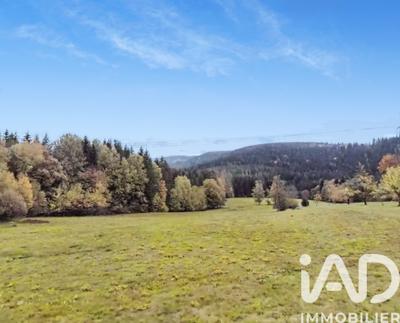 Terrain - 19 000 m²