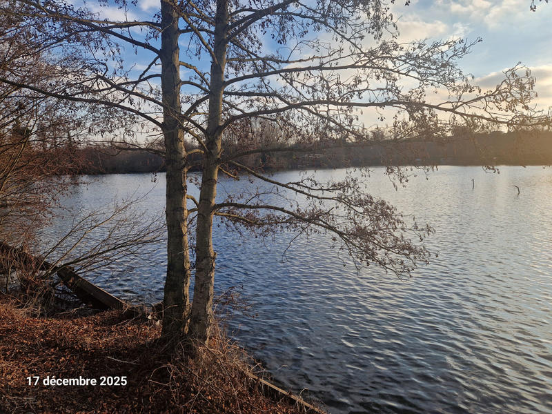 Terrain - 10 191 m²