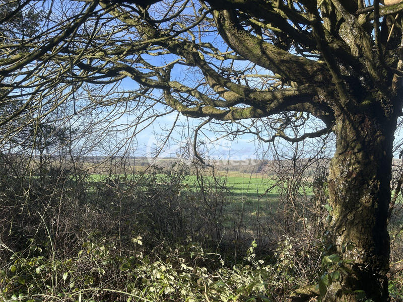 Terrain - 16 935 m²