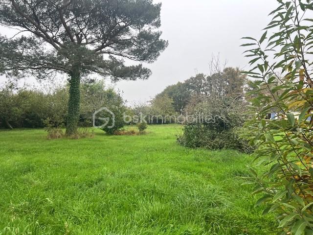 Maison en pierre - 150 m² - 7 pièces