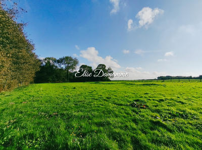 Maison - 190 m² - 5 pièces