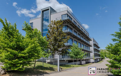 Bureau - 476 m² - 17 pièces