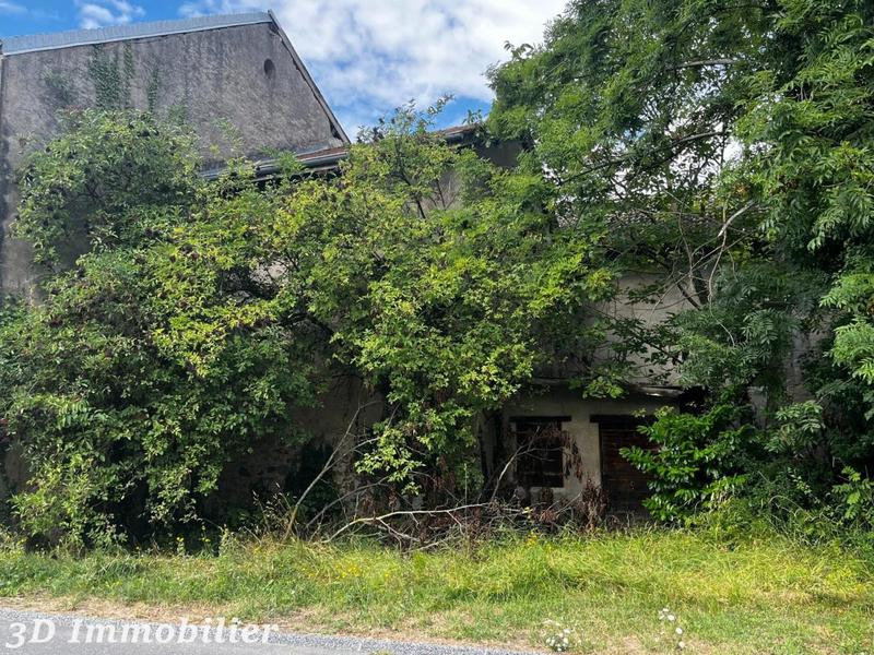 Maison - 450 m² - 10 pièces