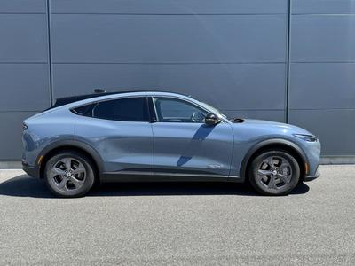 Ford Mustang Mach-E 76 Kw 269 Ch Standard Range / Pack Techno Plus Bleu Vapor