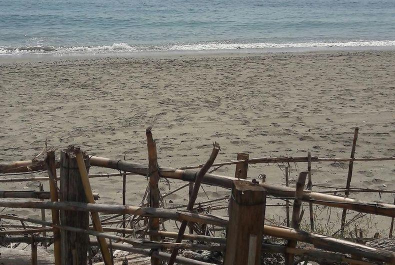 Local commercial - 306 m²