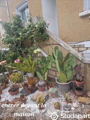 Chambre - 22 m² - 1 pièce