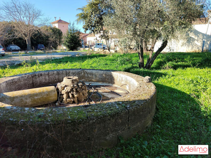 Mas - 1 582 m² - 15 pièces