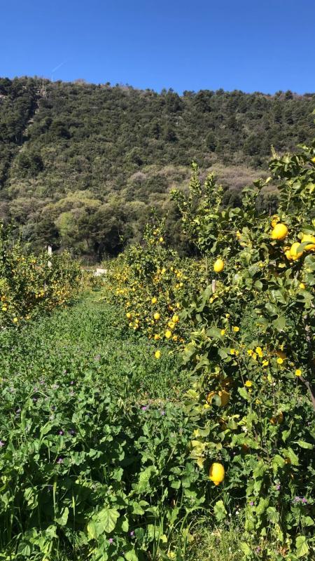 Divers - 10 000 m² - 4 pièces