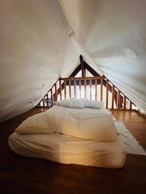 Appartement - 36 m² - 1 pièce