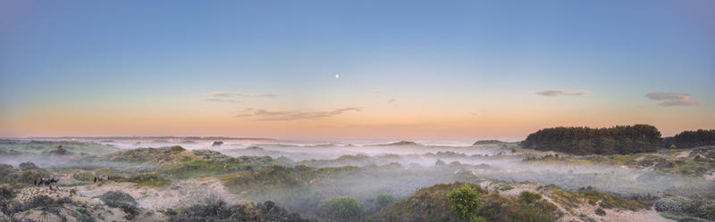 Réserve Naturelle Nationale de la Baie de Canche - Dans les coulisses de la réserve
