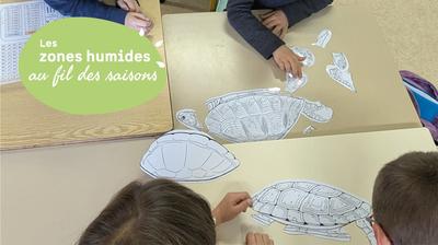 Jmzh : les petits déjs nature des enfants : vis ma vie de cistude