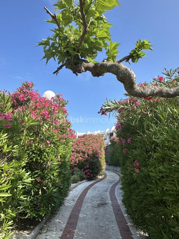 Studio - 18 m² - 1 pièce