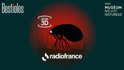 Cinéma Sonore de Radio France - Bestioles en Live
