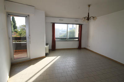 Appartement - 54 m² - 2 pièces