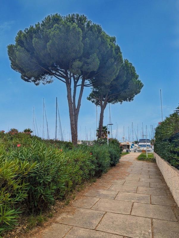 Appartement - 28 m² - 2 pièces