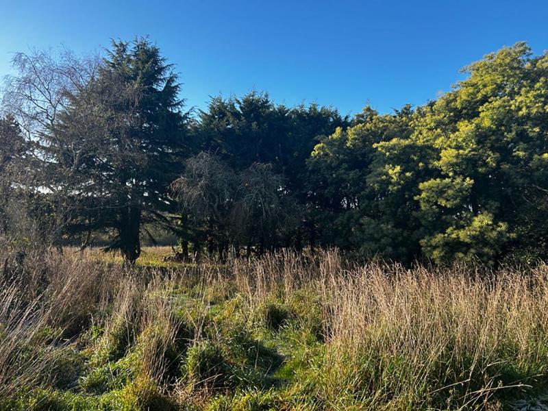 Longère - 95 m² - 1 pièce