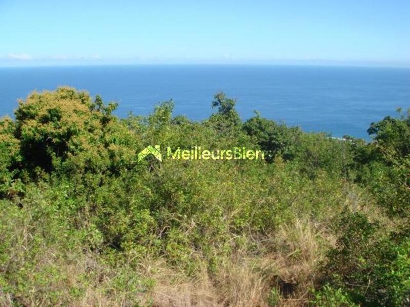 Terrain constructible - 3 650 m²