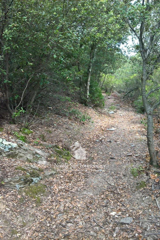 Terrain - 106 625 m²