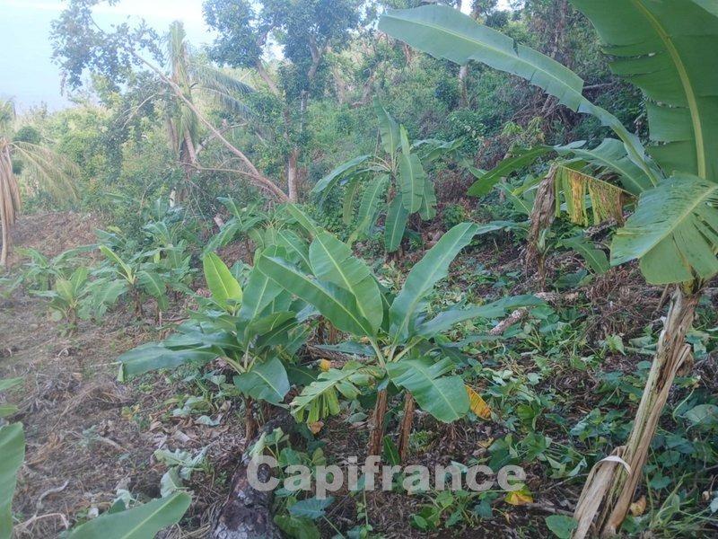 Terrain agricole - 3 328 m²