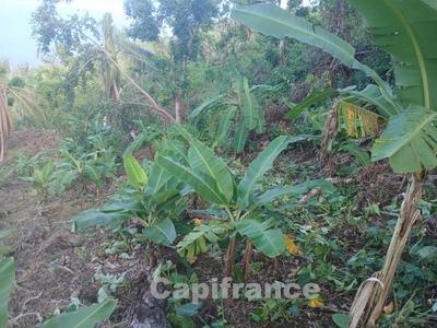 Terrain agricole - 3 328 m²