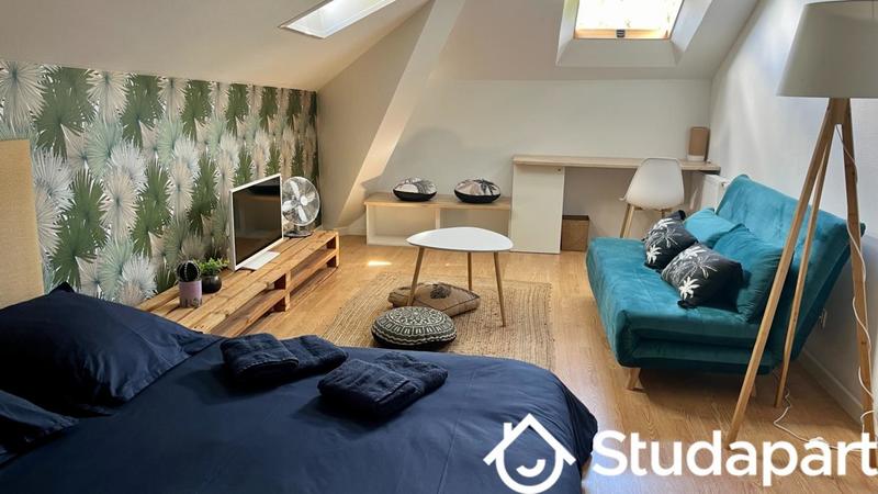 Chambre - 17 m² - 1 pièce