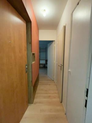 Studio - 25 m² - 1 pièce