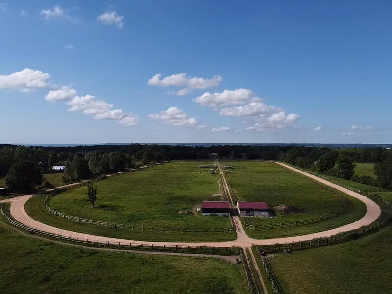 Terrain - 121 155 m²