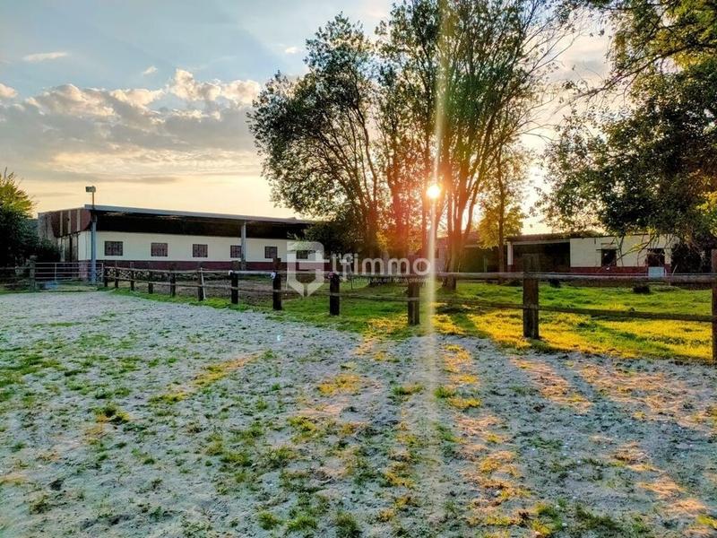 Maison de domaine équestre - 220 m² - 6 pièces