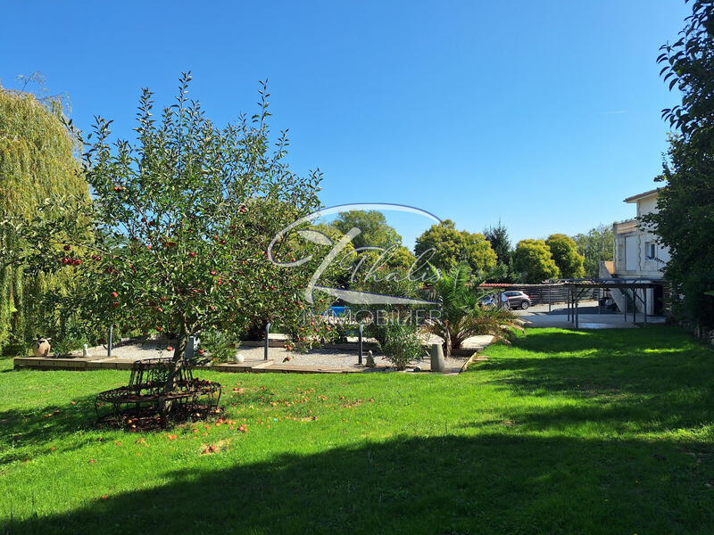 Maison ancienne - 280 m² - 5 pièces