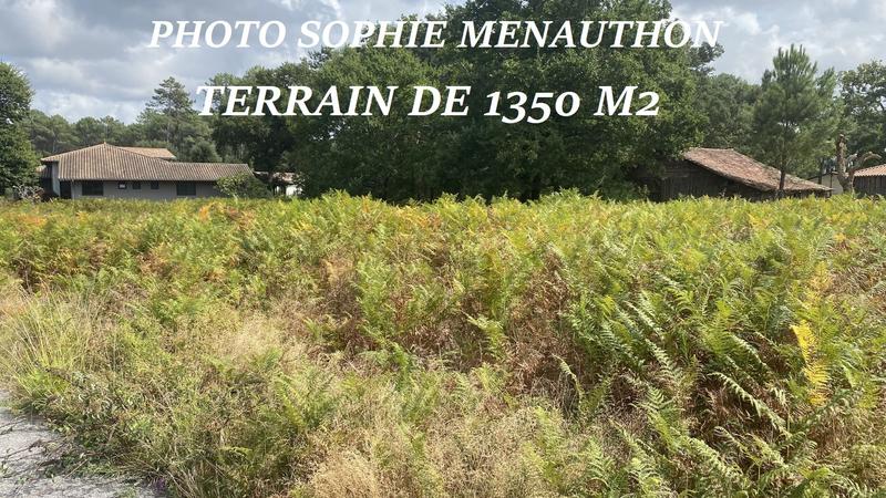 Terrain constructible - 1 350 m²