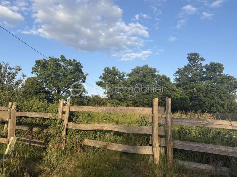 Maison de campagne - 140 m² - 3 pièces