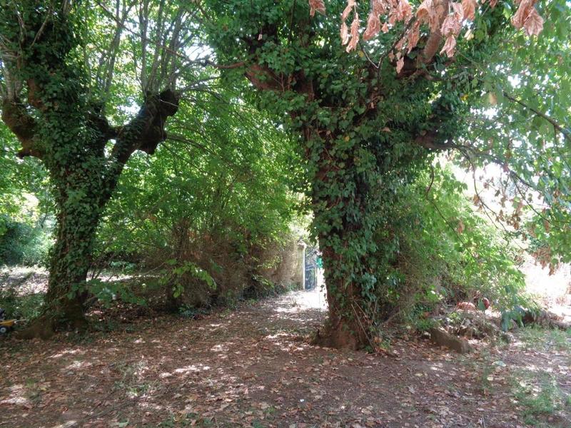 Maison de village - 230 m² - 4 pièces