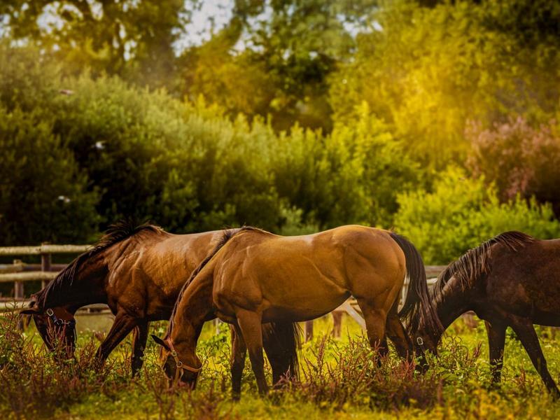 Cercle du Solstice : Fin du cycle &amp; Renouveau