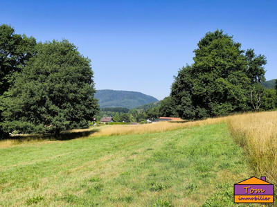 Terrain - 3 325 m²