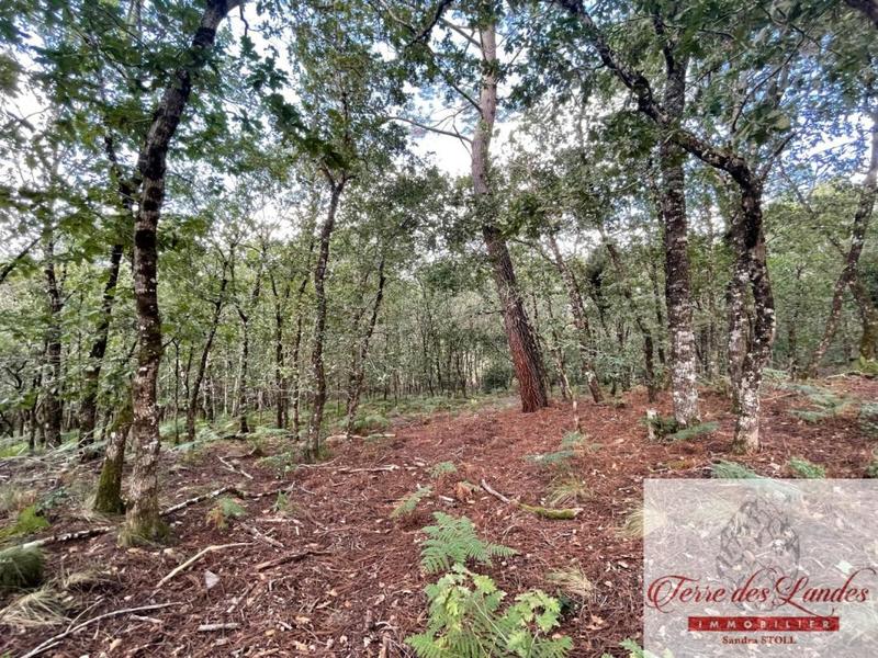 Propriété - 160 m² - 7 pièces