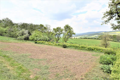 Terrain - 1 625 m²