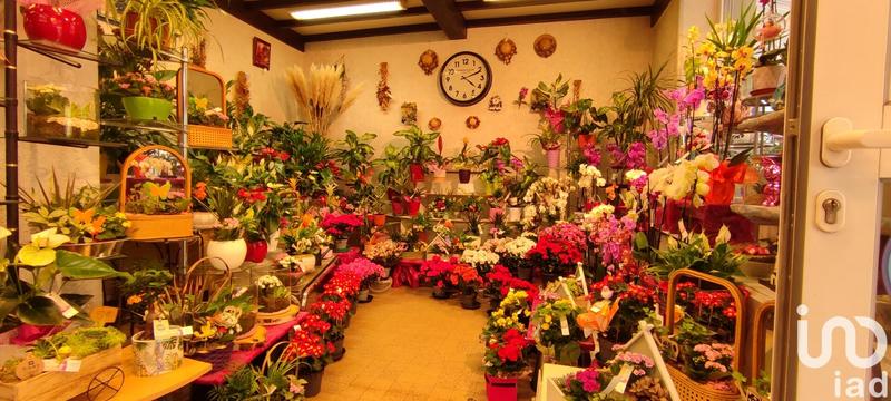 Immeuble - 180 m² - 3 pièces