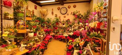 Immeuble - 180 m² - 3 pièces