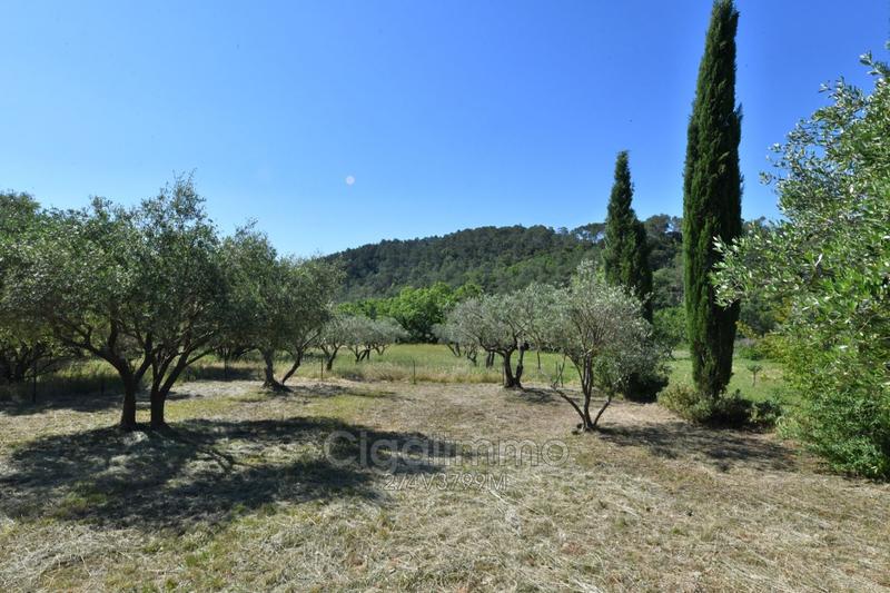 Maison en pierre - 160 m²