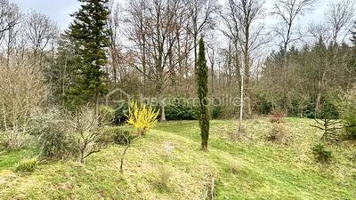 Terrain de loisirs - 96 594 m²