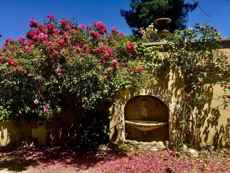 Manoir - 1 200 m² - 17 pièces