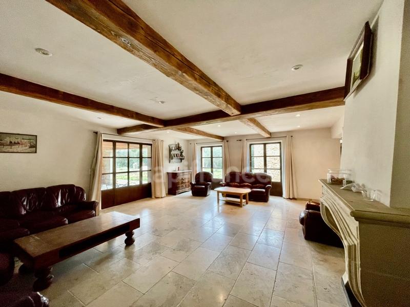 Maison en pierre - 220 m² - 7 pièces