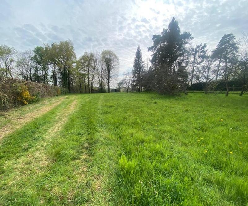 Terrain constructible - 2 530 m²