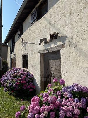 Maison - 270 m² - 7 pièces