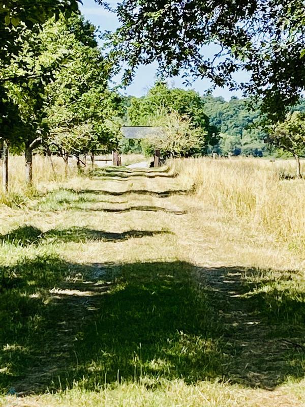 Maison normande - 156 m² - 6 pièces