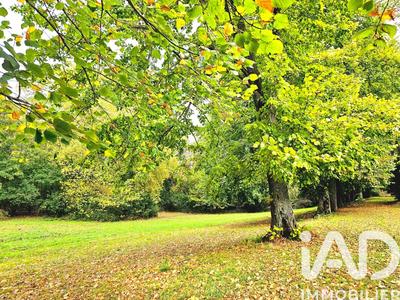 Château - 800 m² - 17 pièces