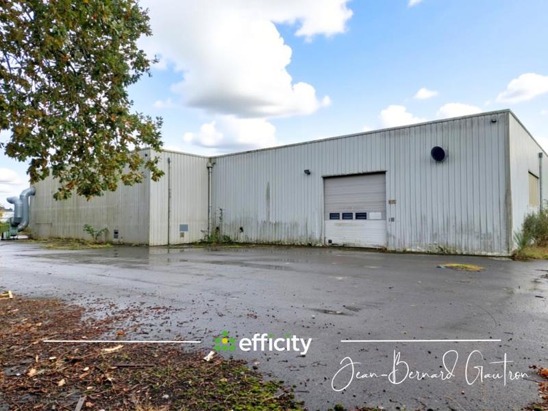 Entrepôt - 2 650 m² - 6 pièces