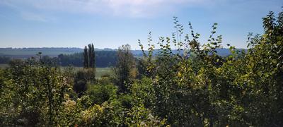 Maison - 42 m² - 1 pièce