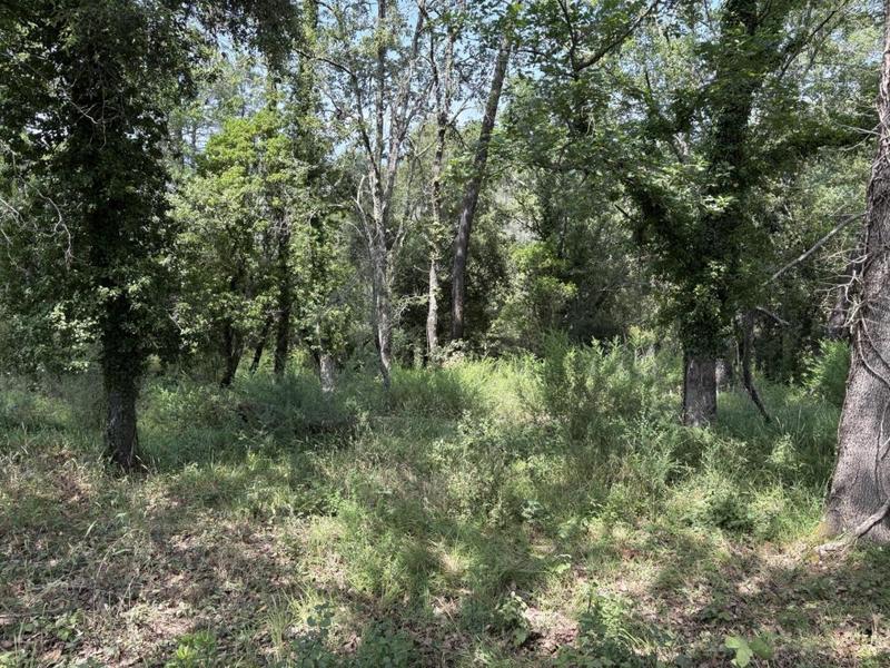 Terrain agricole - 80 000 m²