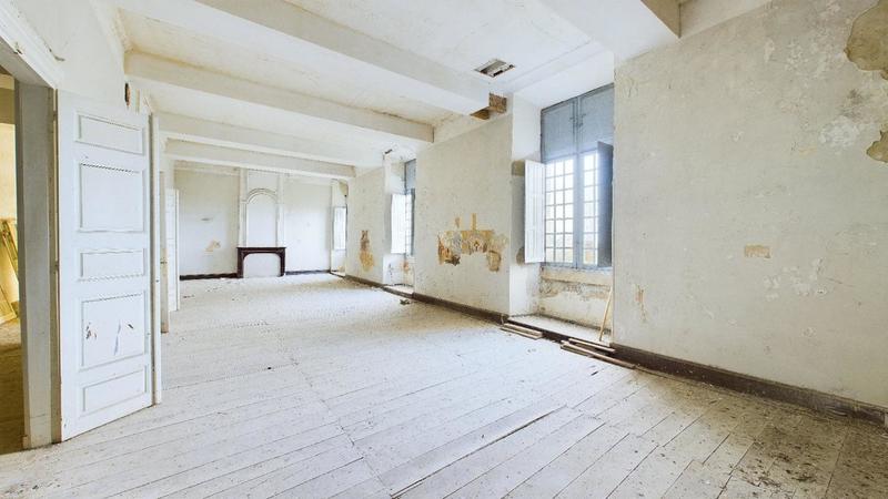 Château - 3 000 m² - 30 pièces